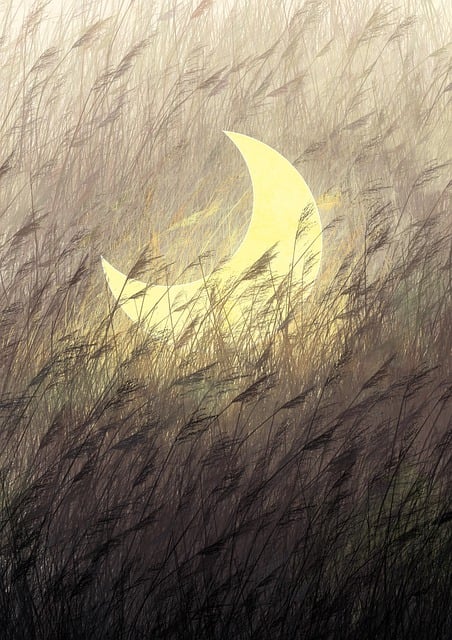 Image for Wanderlust
