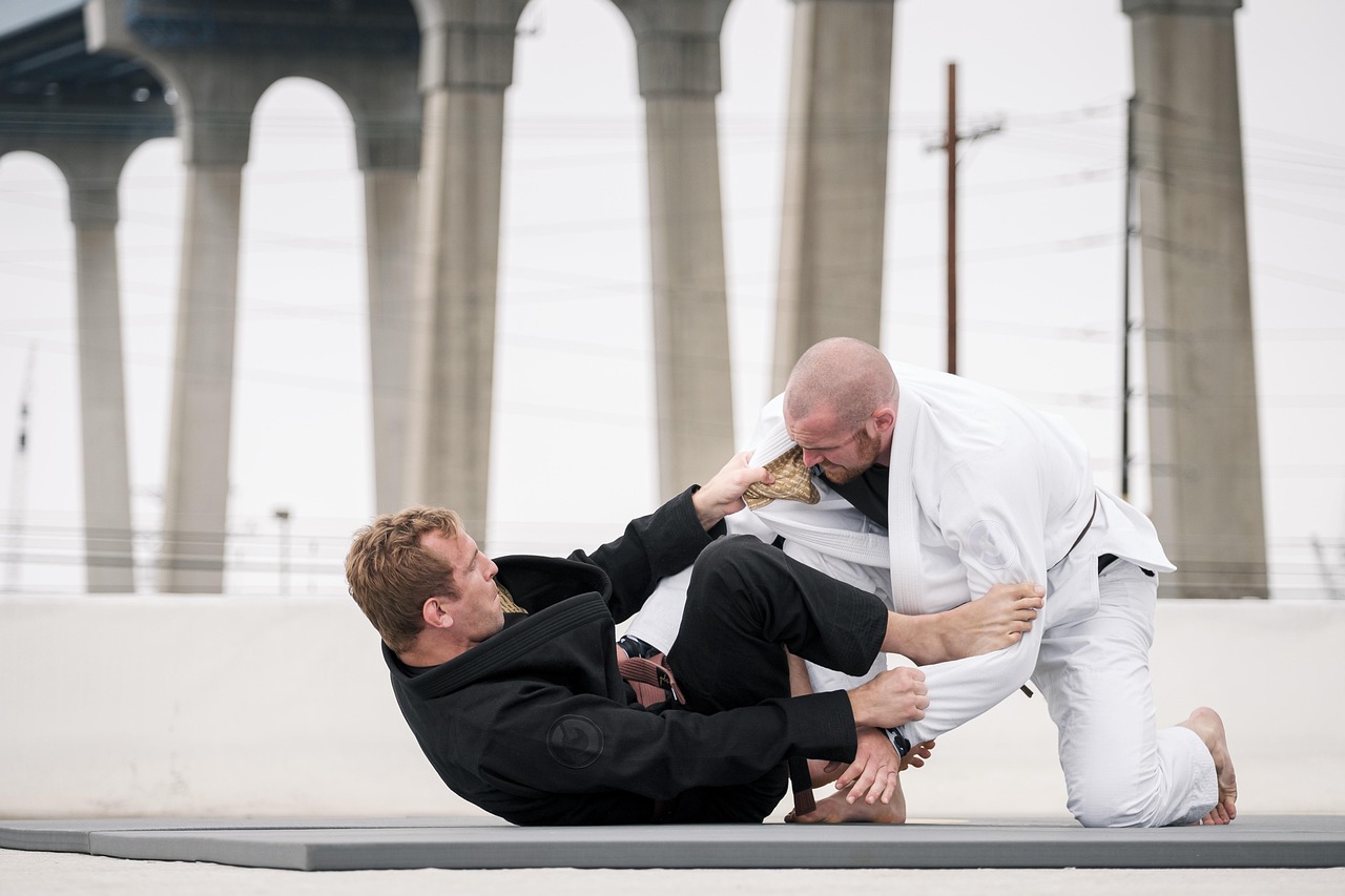 men, jiu-jitsu, jujutsu, sports, athlete, fight, mma