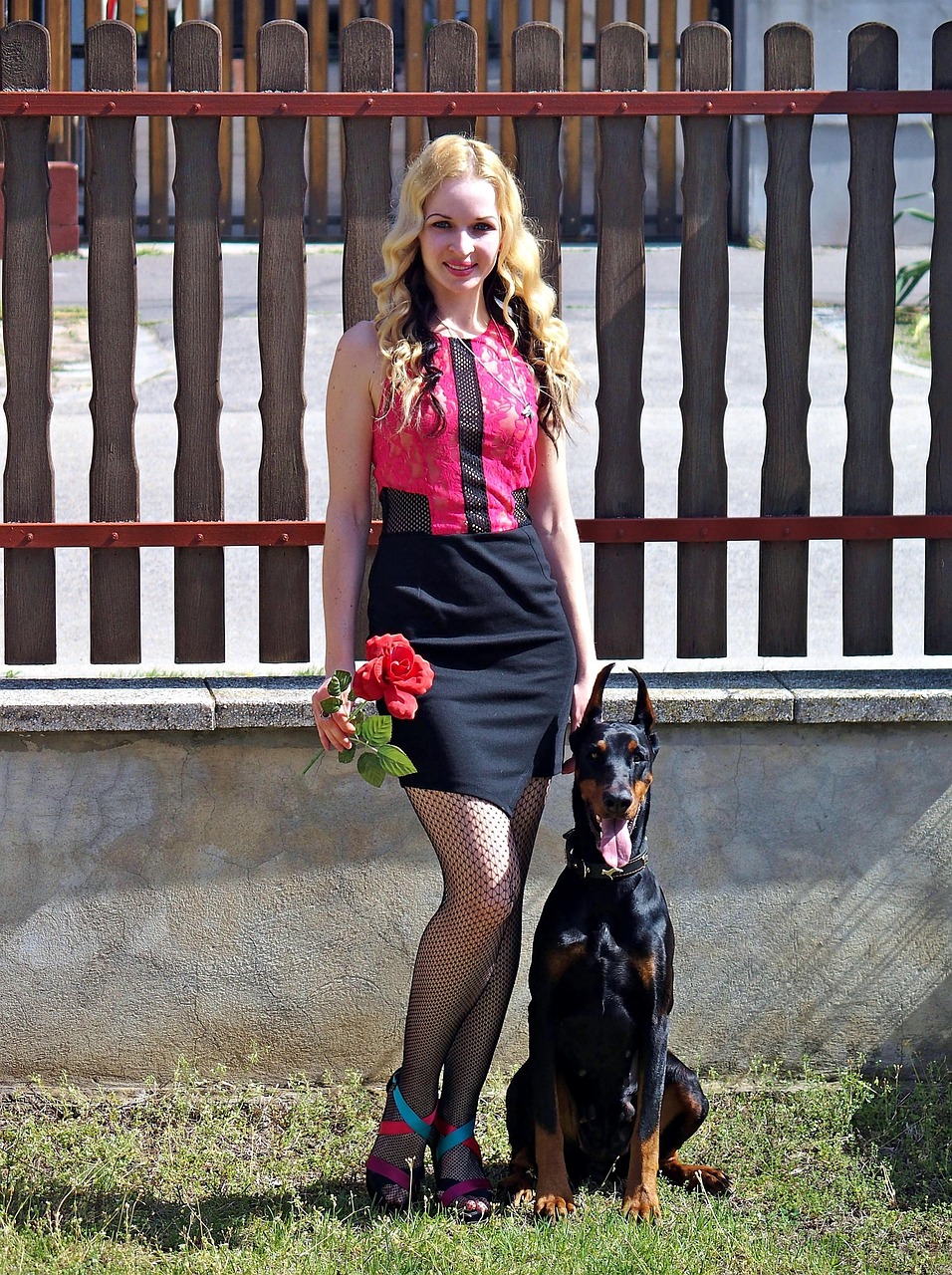 doberman, blonde woman, red rose, pretty, they are nice, friendship