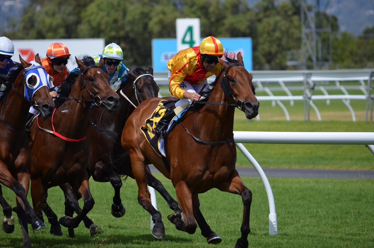 horses, racing, jockey, sport, rider, track, thoroughbred