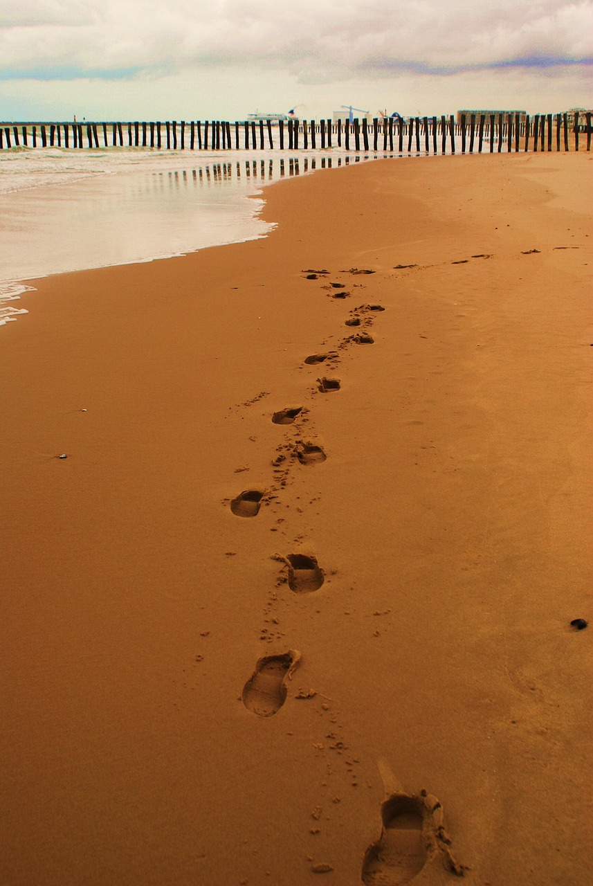 footprint, footprints, sand, sense, tracks in the sand, beach, track, sea, imprint, nature, landscape, feet, ocean, sandy beach, footprints in the sand, path