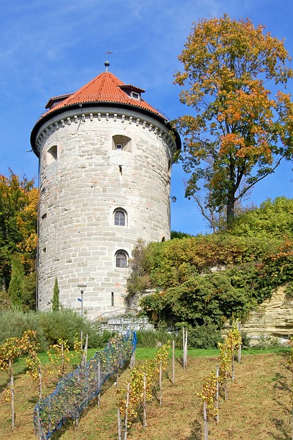 Gallery image 5