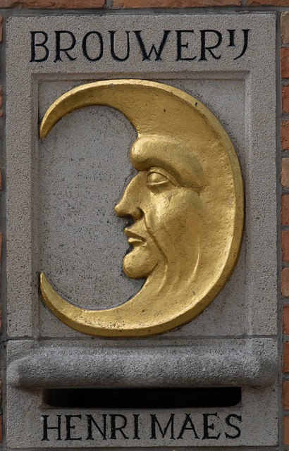 Gallery image 6