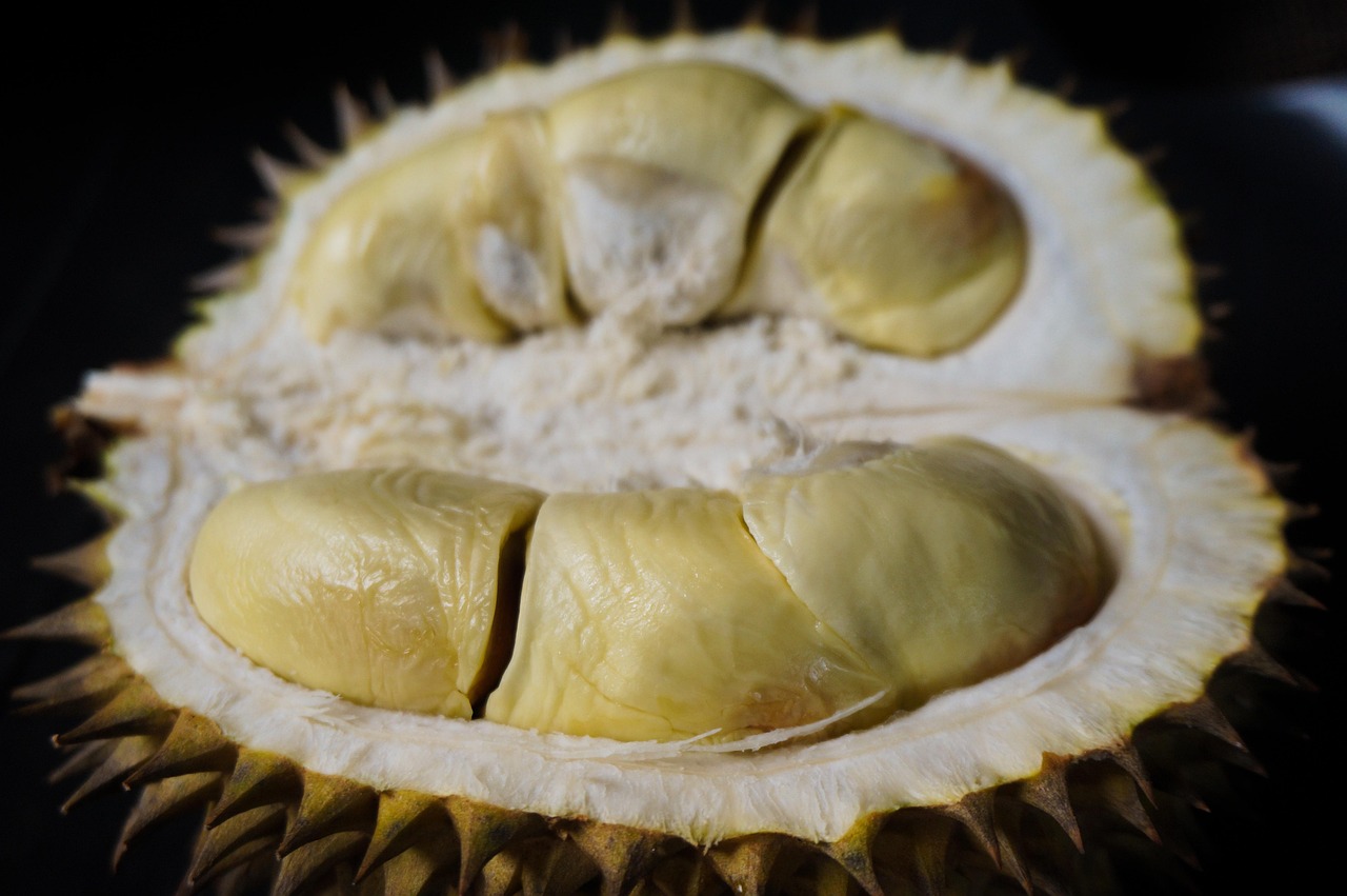 durian, fruit, food, produce, healthy, vitamins, ripe, thorn, prickly, smelly, organic, tropical, closeup