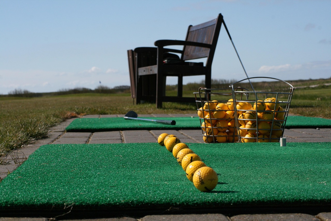 golf, driving range, line up, club, swing, practice, game, golfer, line, meeting, preparation, ready, hit, assembly line, course, recreation, leisure, relax, sport, outdoors