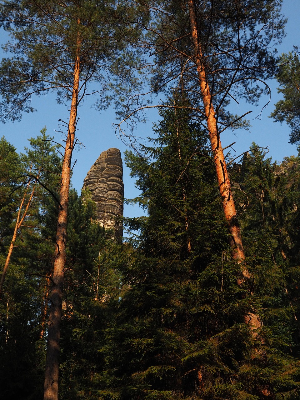 monkey stones, just stick, the lower monkeys steinweg, elbe sandstone, hike, sandstone rocks, landscape, stone formation, rock, elbe sandstone mountains, sandstone mountains, saxon switzerland, rock needles, lower promenade of the affensteine, bloszstock