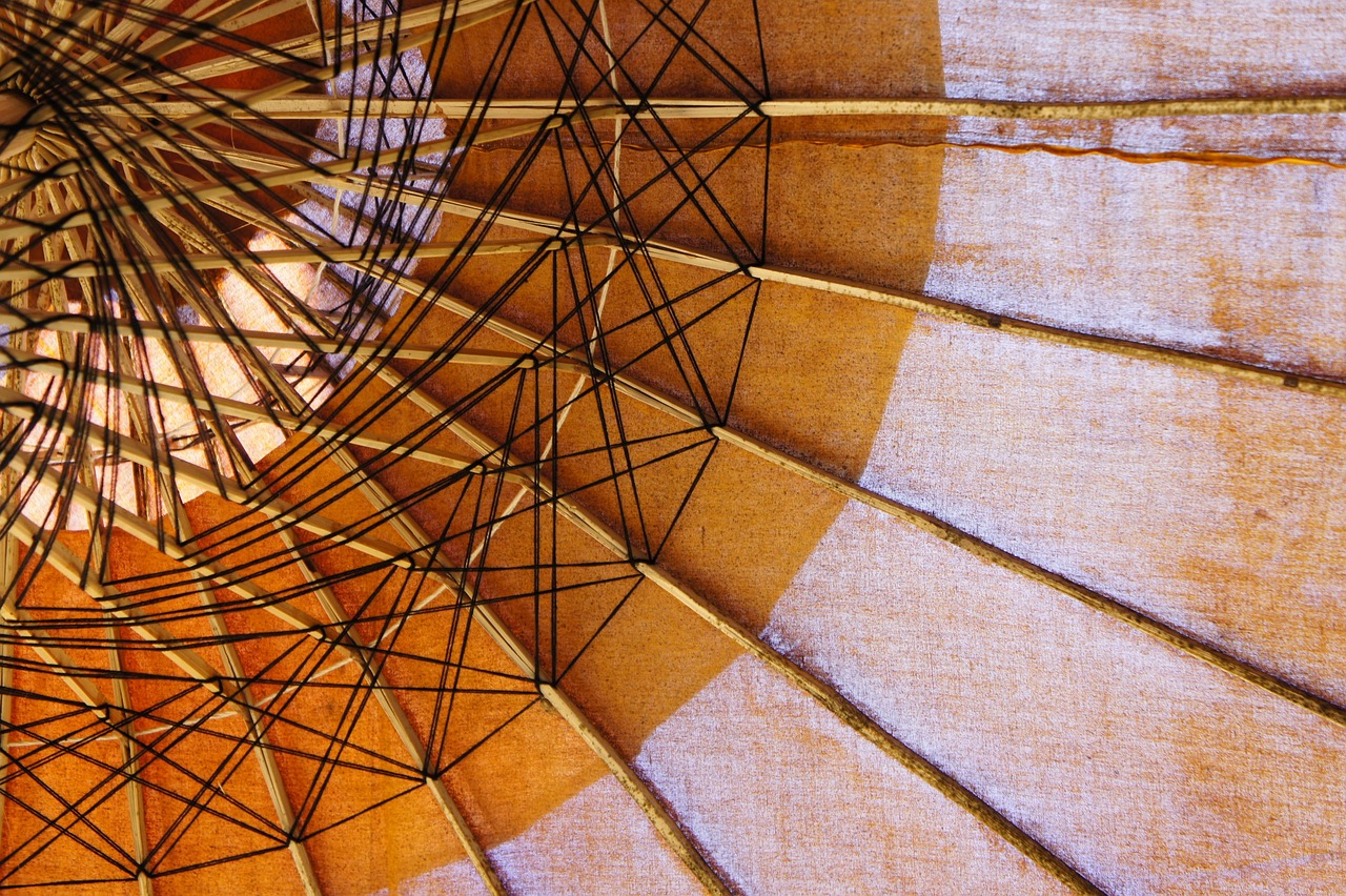 umbrella, parasol, from the bottom, shade tree, asian umbrella, asia, paper umbrella
