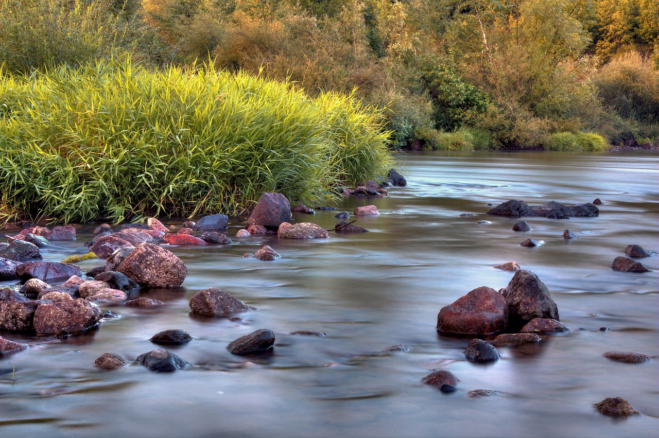 loire, auvergne, river, nature, france, authentic, retourac, haute-loire, haute-loire auvergne, savage, throats