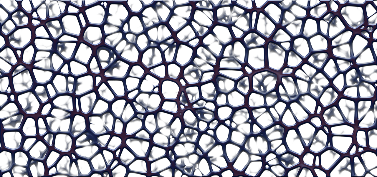 sponge, template, texture, structure, network, connections, variety, contact points, neurons, interface, contact, together, brain cells, connected, meshes, meshwork, system