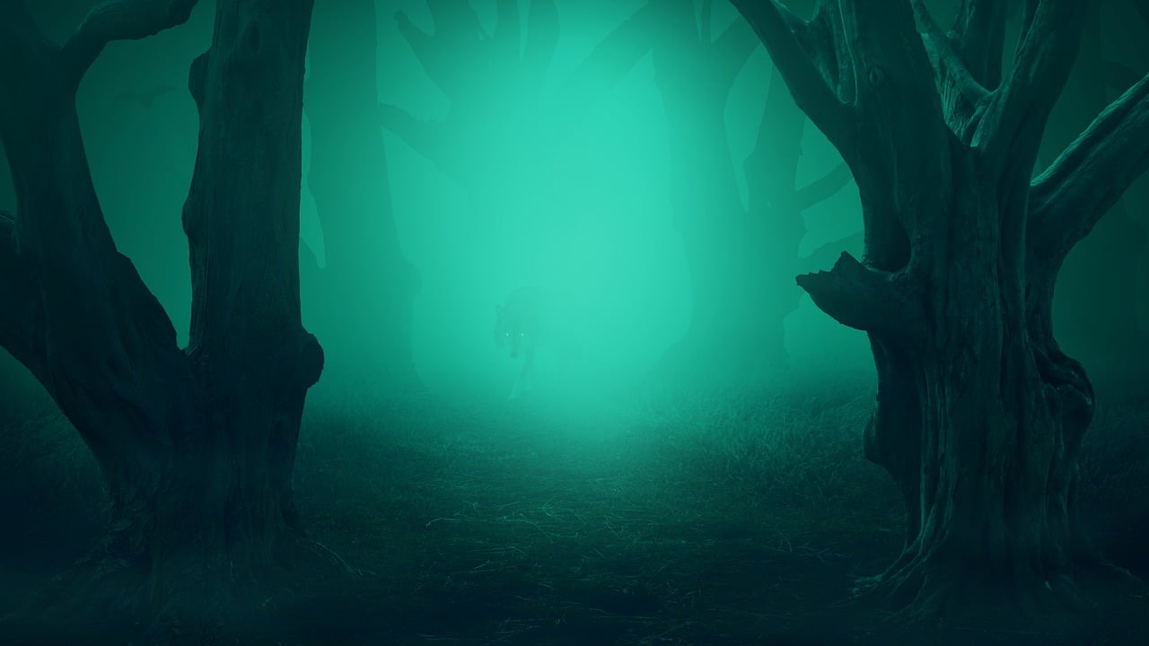 forest, fog, wolf, meadow, path, forest glade, glade, mood, forest path, trees, old, mystical, scary, the atmosphere, background, shining, lighting mood, eyes, grass, trail, mysterious, evening atmosphere