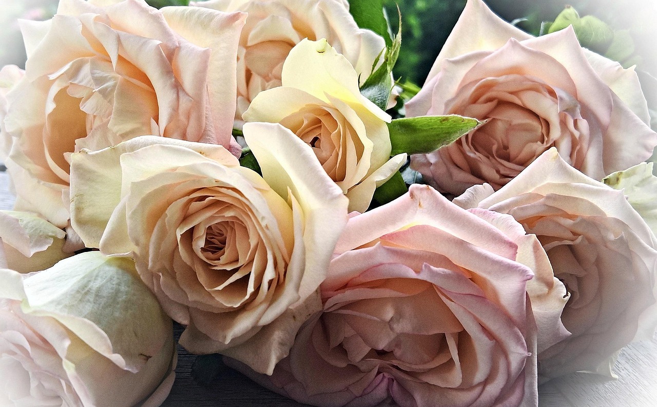 flowers, roses, bouquet of roses, biscuit roses, light pink, white, delicate flower, romantic, special occasion, love, wedding, baptism, rose wallpaper