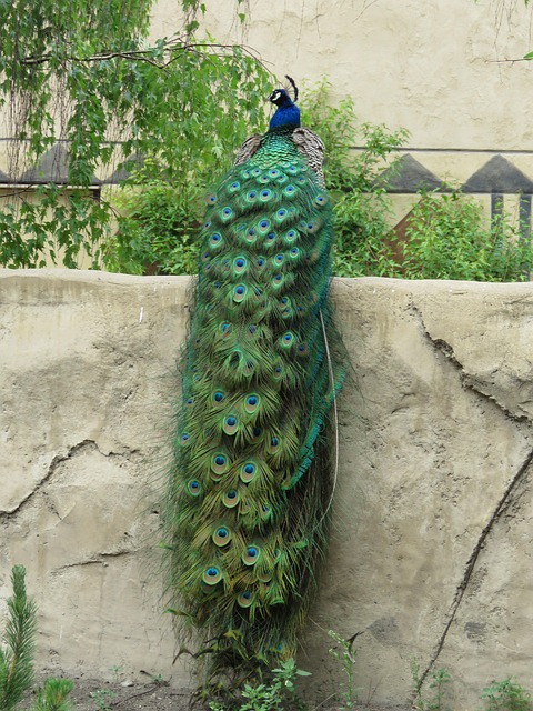 Gallery image 6