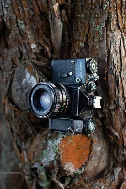 Gallery image 7