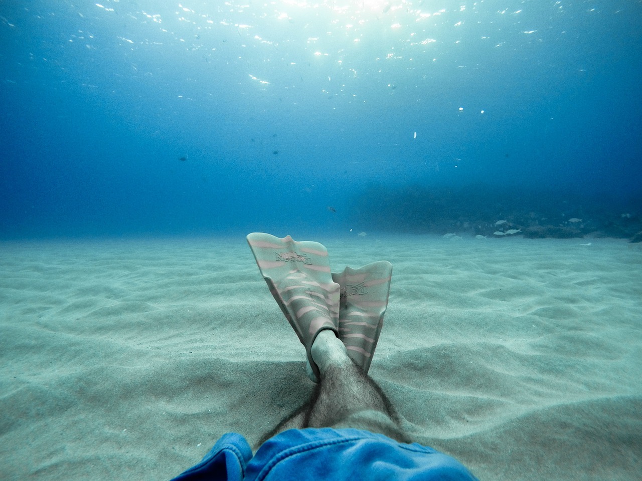 sea, ocean, blue, water, nature, leg, foot, diving, fins, gear, sand, underwater, fish, blue fish, blue fishing, blue sand