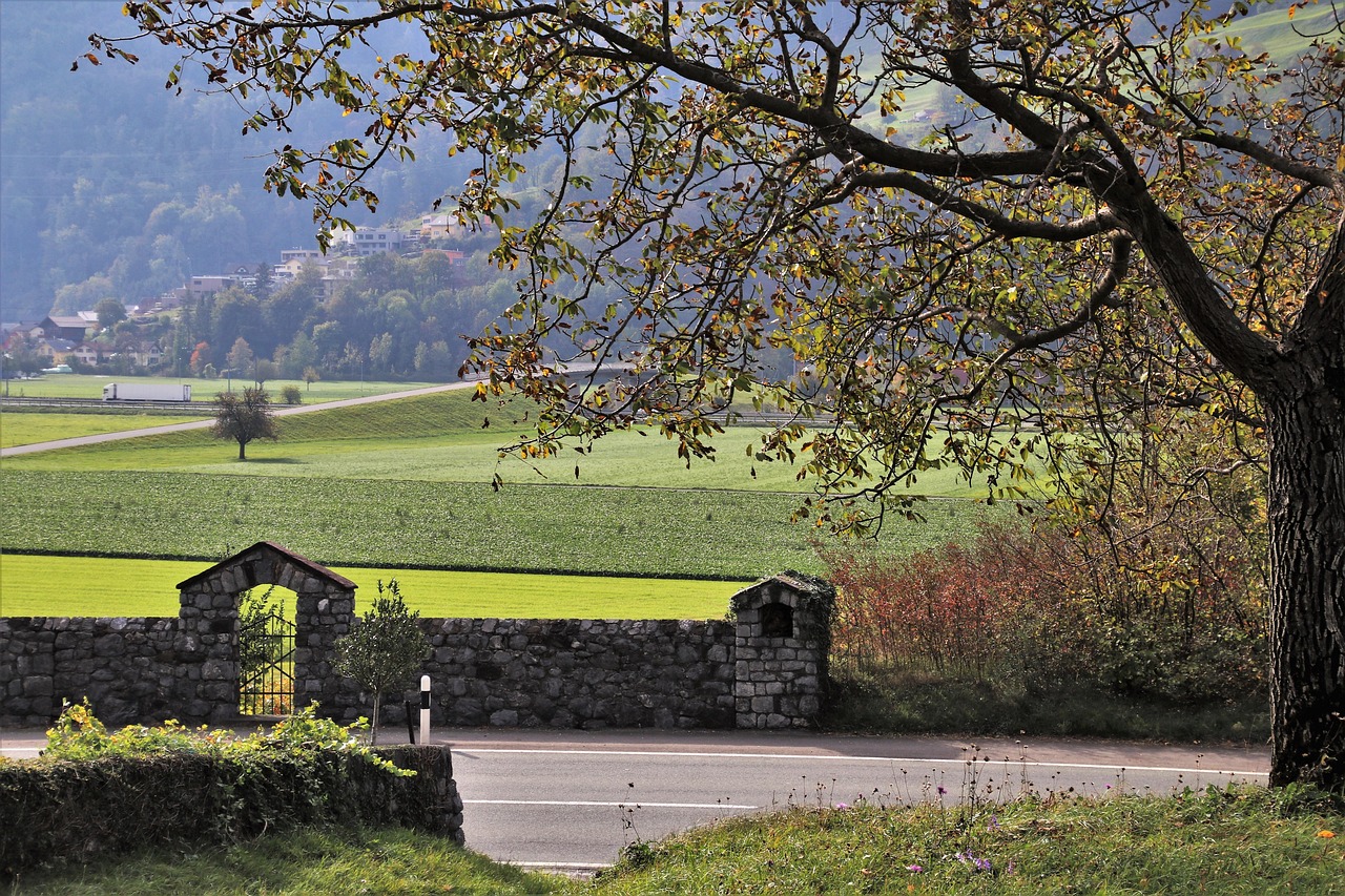 autumn, view, wall, tree, the vineyards, fields, rural, perspective, nature, panorama, above, the height of the, switzerland, alpine, style, landscape, scenery, meadow, mountain, travel, wicket, the bushes