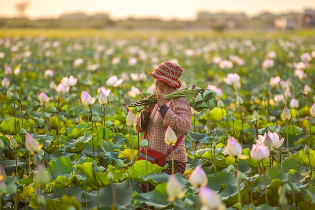 farmers