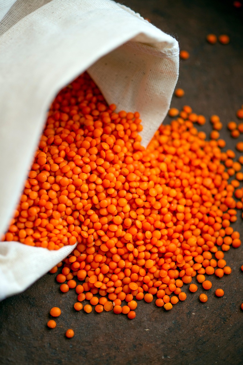 lentils, food, beans, healthy, vegetarian, vegan, natural, nutrition, organic