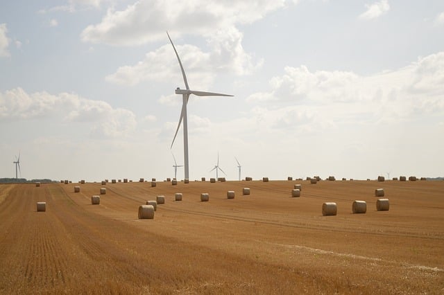 wind turbine, harvest, bundles, agriculture, straw, to harvest, wheat, sky, nature, cloudy