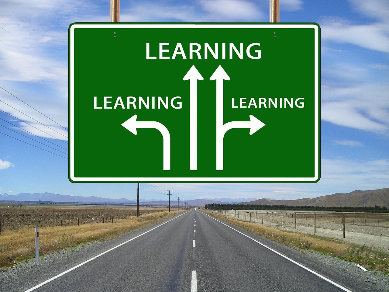 to learn, a notice, information sign, signpost, direction, arrows, road, conclusion, training, opportunities, equal opportunities, skills, career, knowledge, can, life, lifetime, school, security, graduation, study, college student