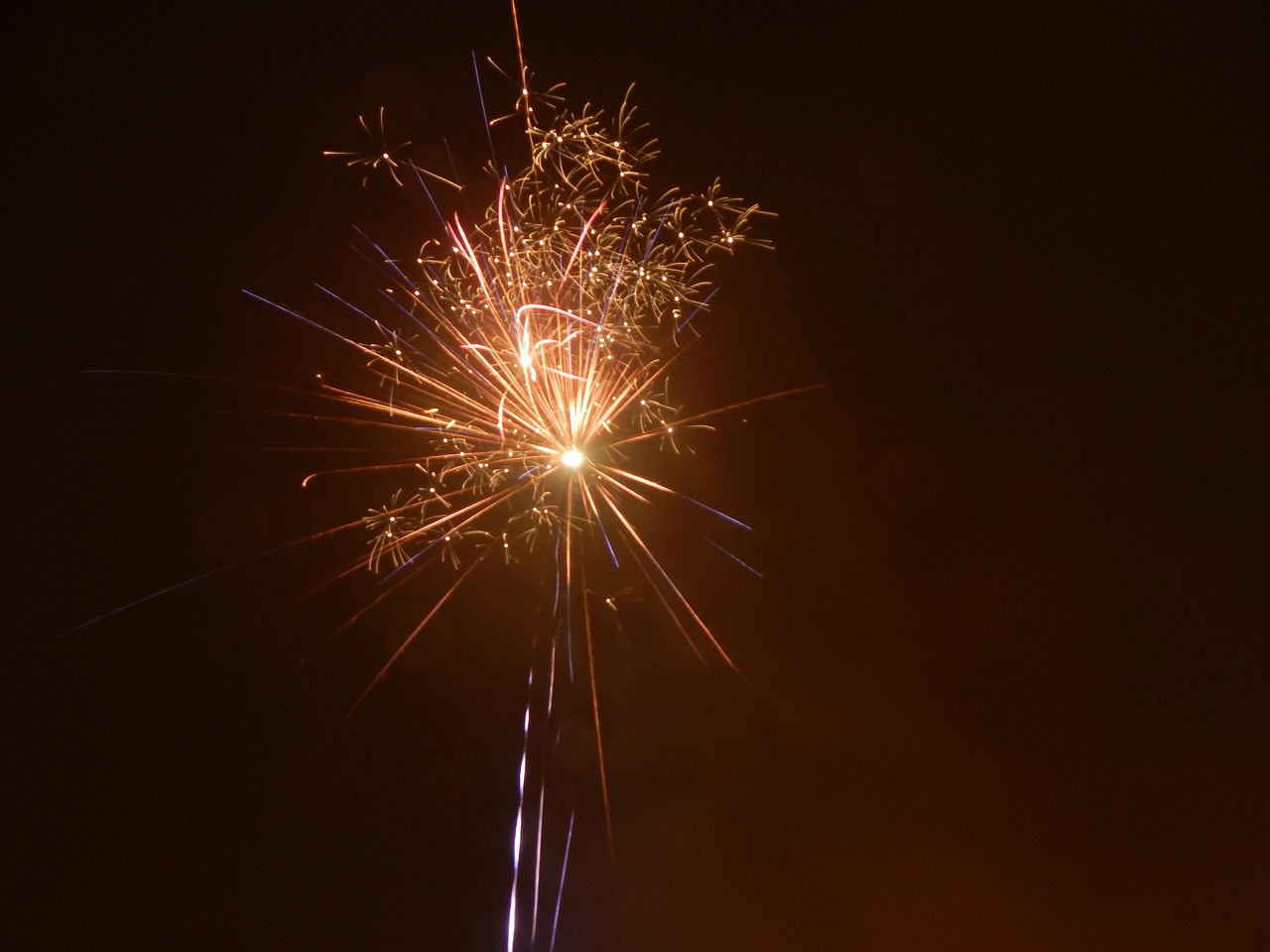 sparkler, spark, glow, fireworks, rocket, sylvester, firework rocket, shower of sparks, new year's eve
