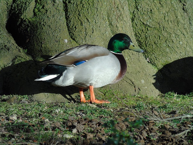 Gallery image 8