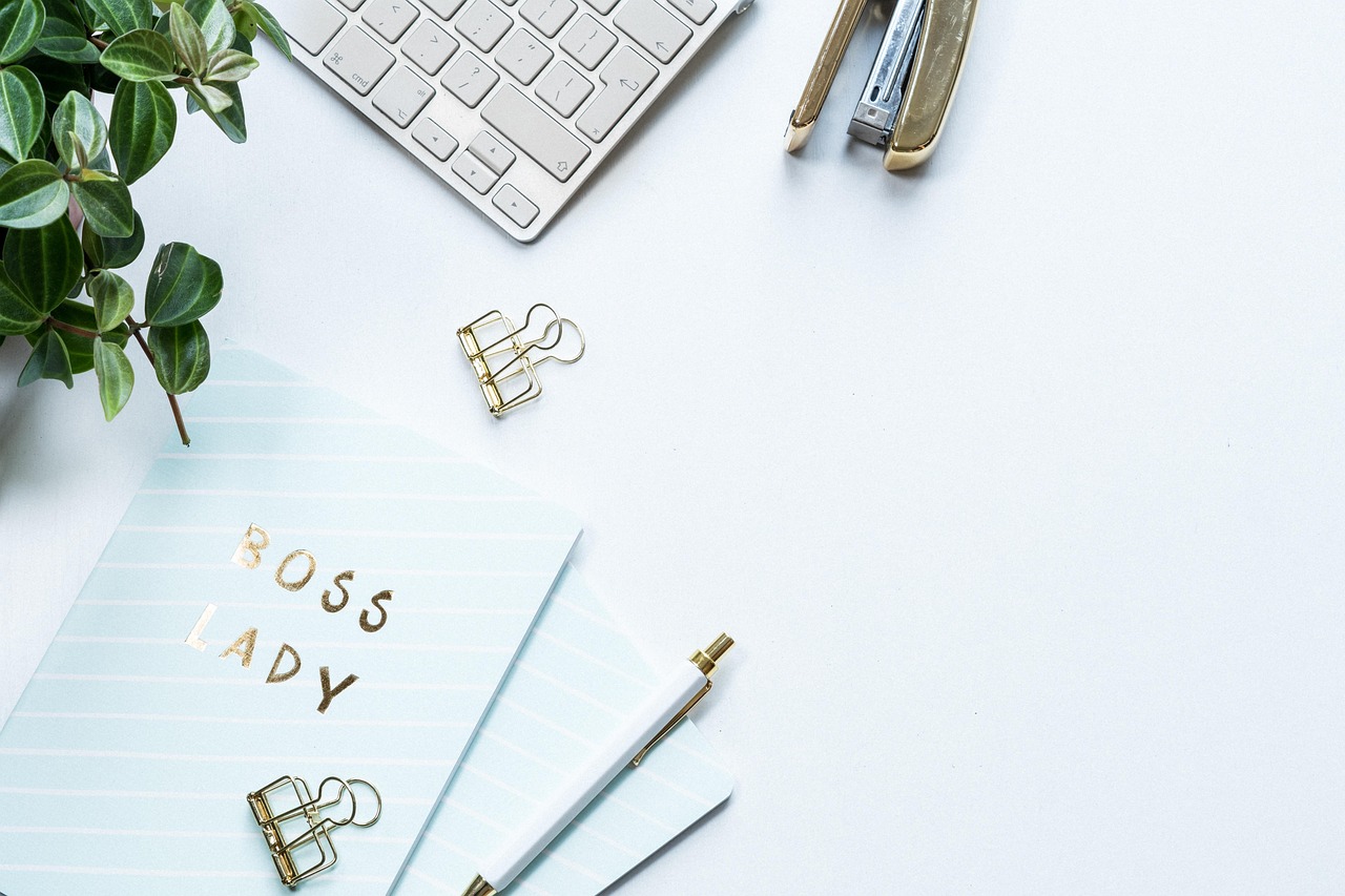 flat layout, white background, keyboard, plant, business, make, office, technology, desktop, workspace, stationary, workplace, white, female