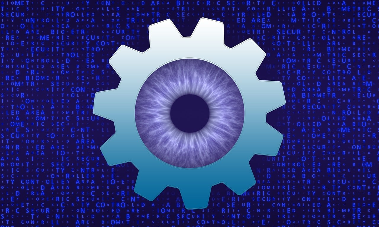 biometrics, access, identification, security, authentication, iris, eye, identity, information, scanning