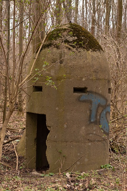 Gallery image 2