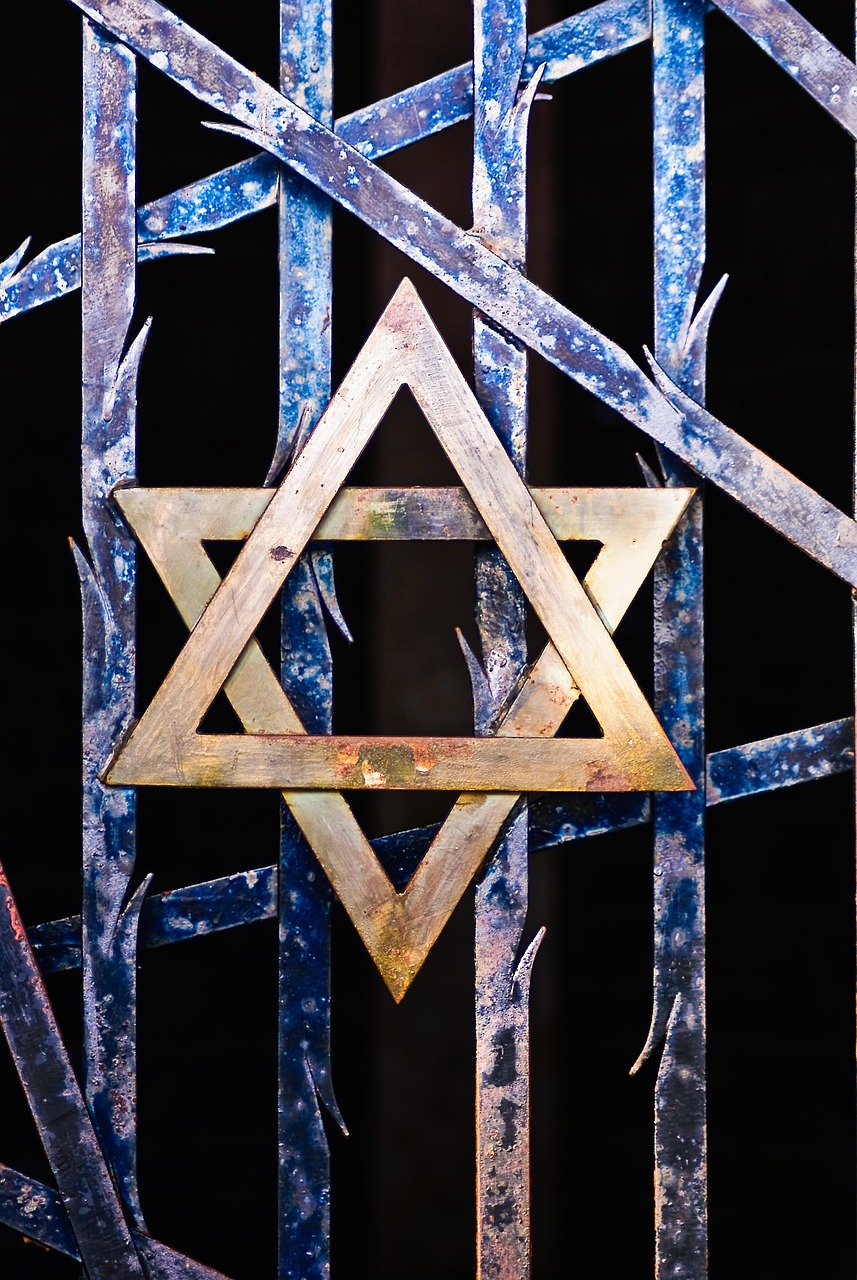star of david, judaism, grid, thorns, concentration camp, dachau, memorial, hitler time, crime, barrack, story, monument, places of interest, tracking, germany, penal camps, nazi era, bavaria, holocaust, israel, world war, terrible, war crimes, awful, mass murder, winter, cold, snow, heaven, past, barbed wire, jews, jail, walls, national socialism, war, second world war, kz dachau, german history, to forget, recall, memory, murder, genocide, life, despair, the end, wall, watchtower