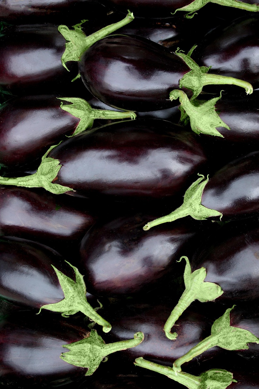 products, food, vegetable, fruit, to greet, eggplant, healthy food, nature, autumn fruit, foods, puglia, fruits, vitamin, autumn fruits, plant, beneficial, mature