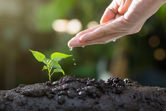 Image for Nurturing Leads: Strategies for Turning Interest into Sales