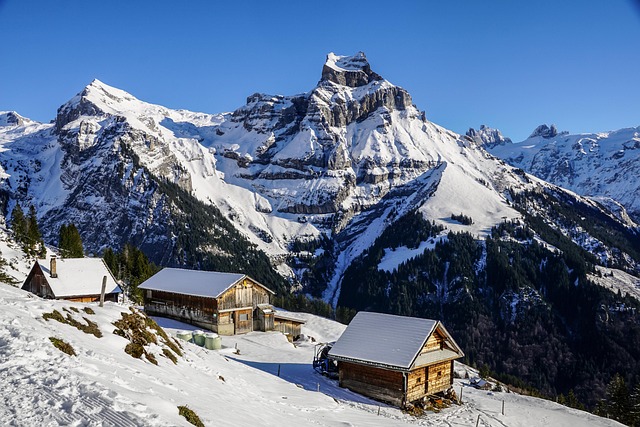 Image for Winter Travel