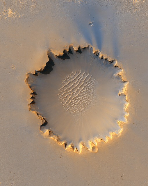 Image for Impact
