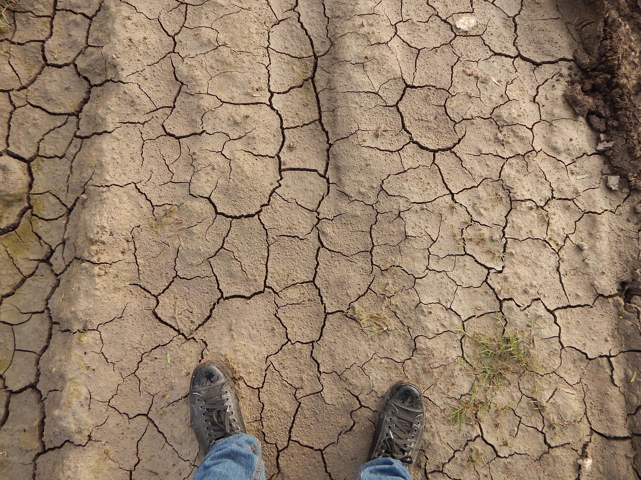 earth, drought, dryness, infertility, soil, farming