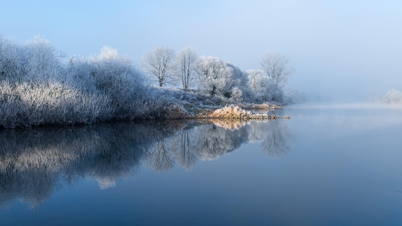lake, trees, snow, cold, frost, water, hoarfrost, scenic, flow, idyll, nature, winter, landscape, weser, mood, weser uplands, germany, wintry, ice crystals, winter magic