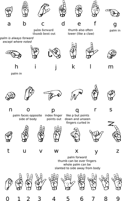 Image for Language and Culture