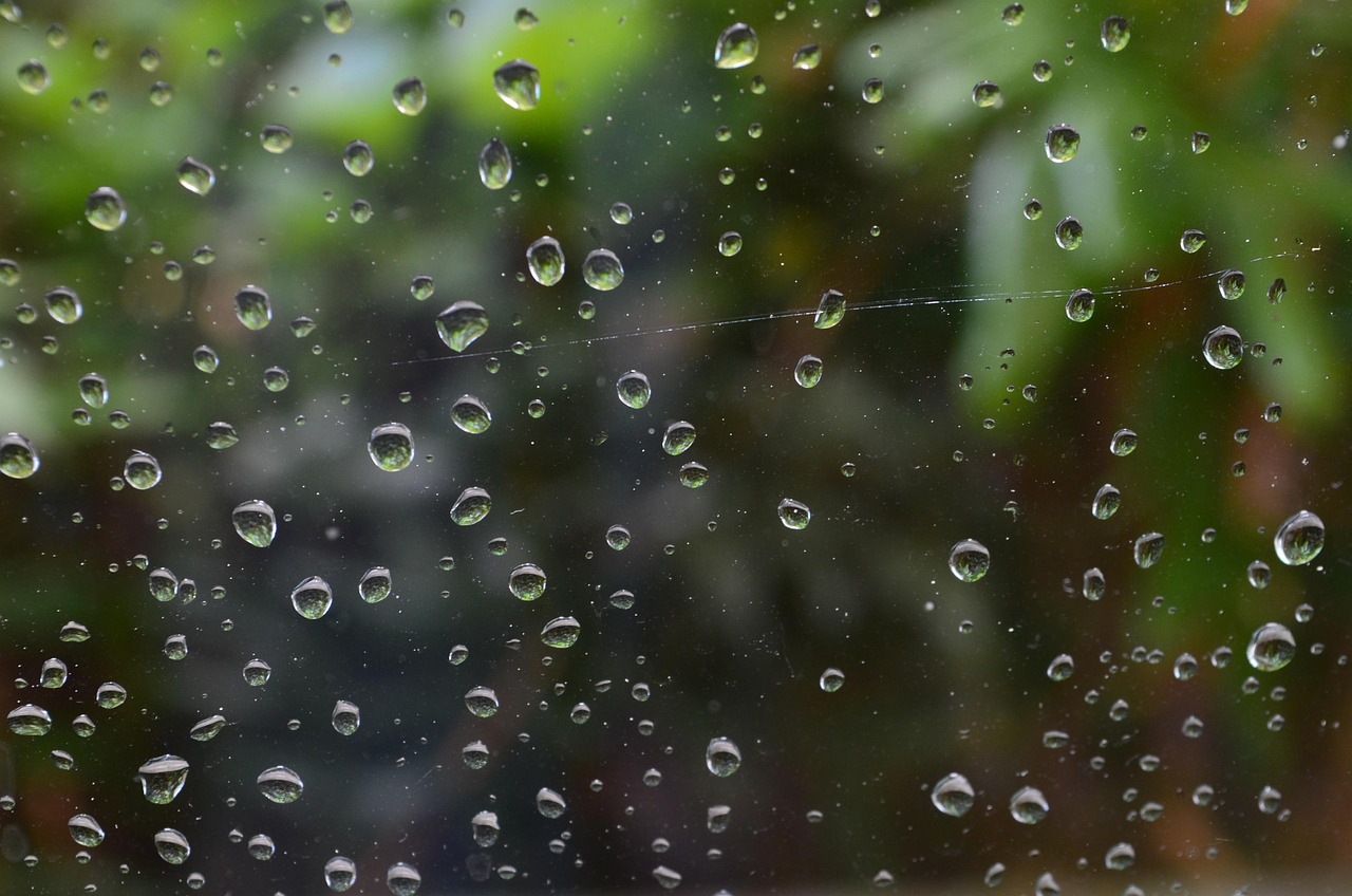 raindrop, drops, waterdrop, window, glass pane, glass, roll off