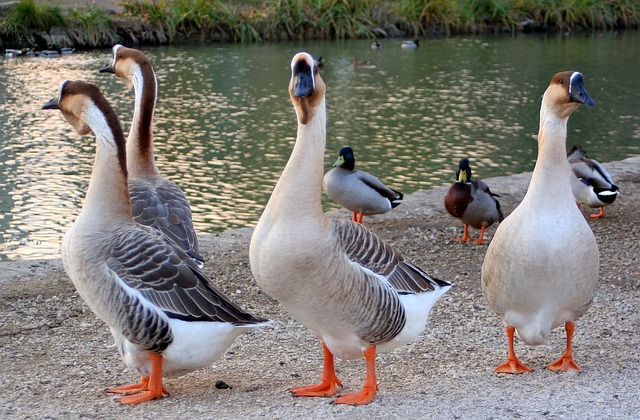 Image for Maximizing Survey Response Rates: Tips for Engaging Your Team.