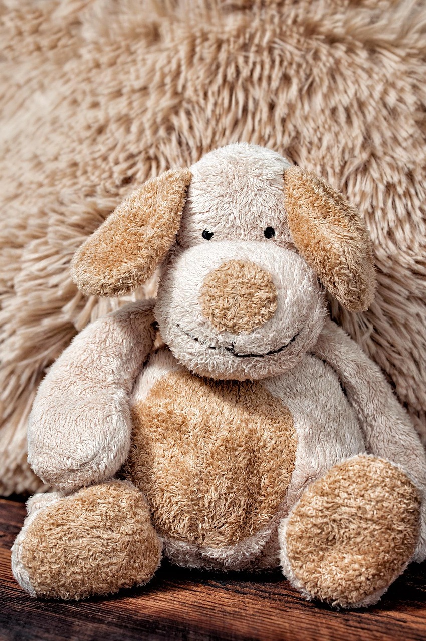 stuffed animal, teddy, teddy bear, stuffed toy, plush, plush toy, children's toys, cute, toy, soft toy