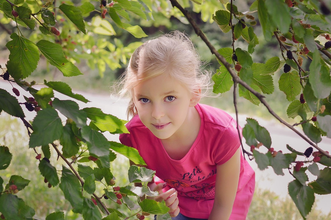 mulberry, little girl, summer, fruits, berries