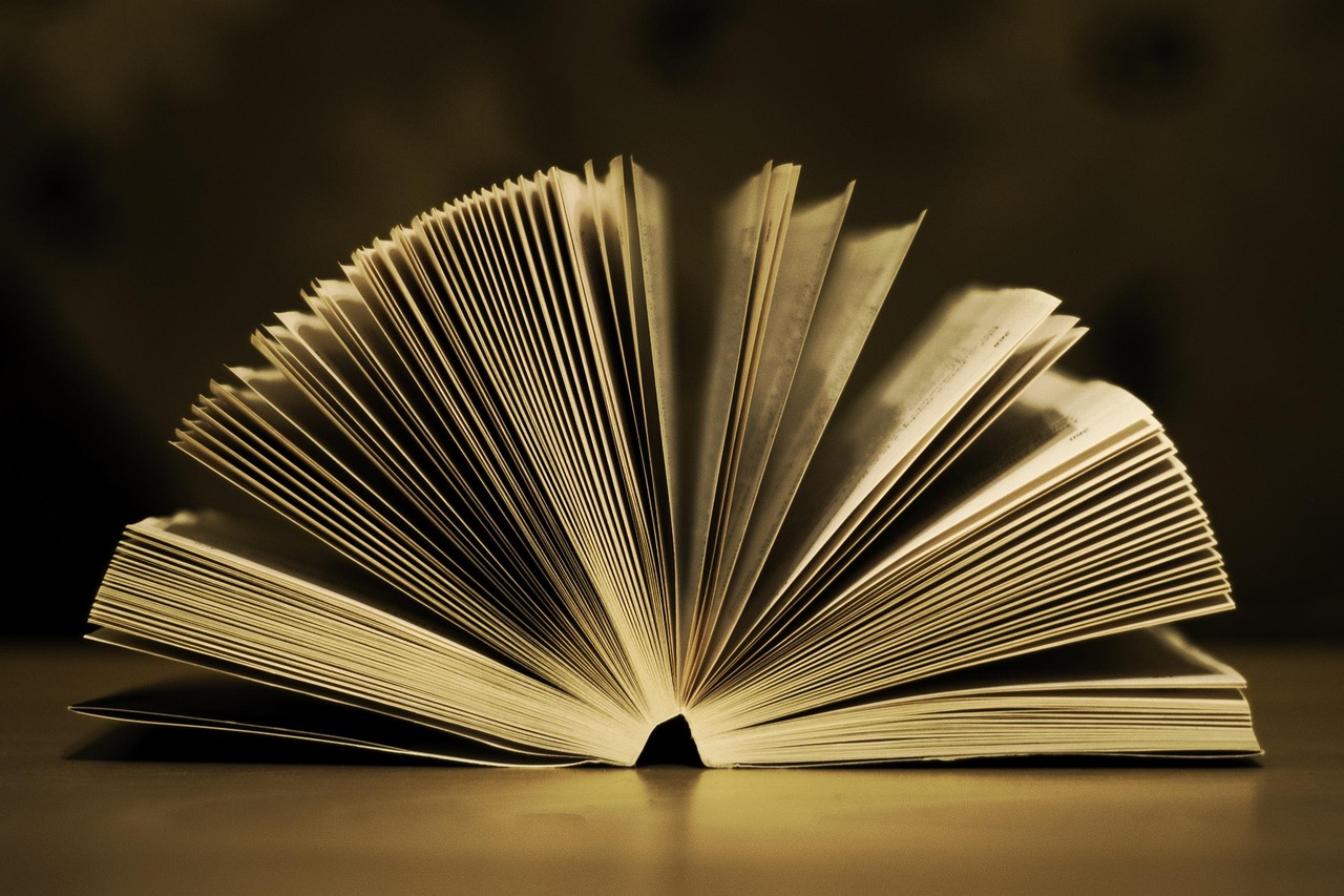 book, open, pages, paper, education, literature, textbook, reading, information, school, knowledge, studying, learning, library, brown book, brown school, brown books, brown education, brown library, brown paper, brown learning, brown reading, brown study, brown information, brown studying, brown knowledge