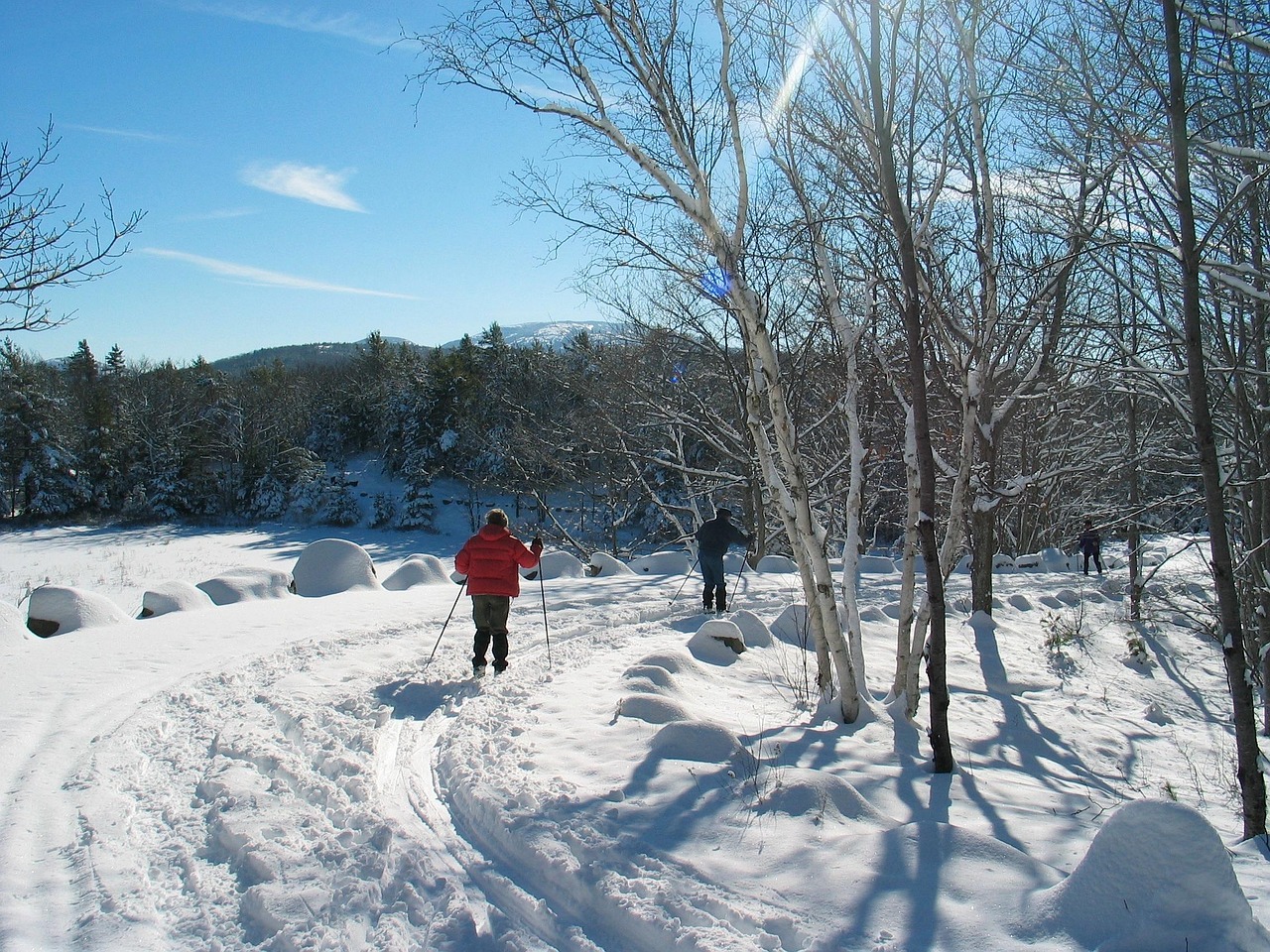acadia national park, maine, landscape, winter, snow, ice, sky, clouds, forest, trees, woods, trail, path, cross country, skiers, skiing, men, women, blue cross, blue path