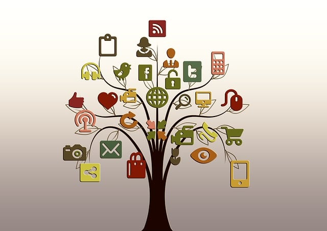 Image for Social