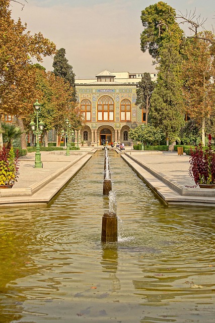 Gallery image 6
