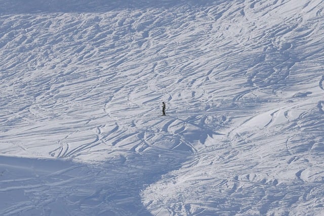 Gallery image 7