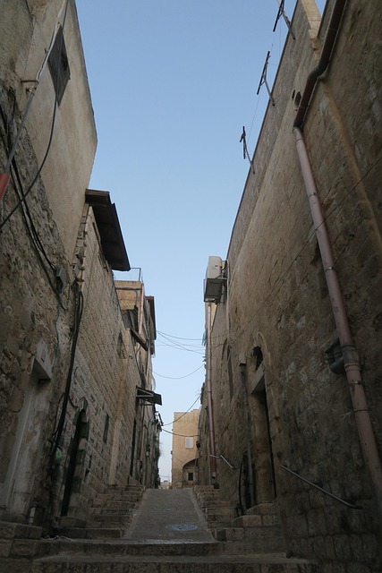 Gallery image 6