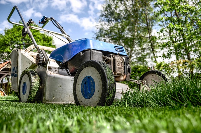 lawn mower, grass, garden, front yard, gardening, lawn-mower chassis, lawn, cutting, gardener, nature, equipment, machine, backyard, mower, maintenance, yard