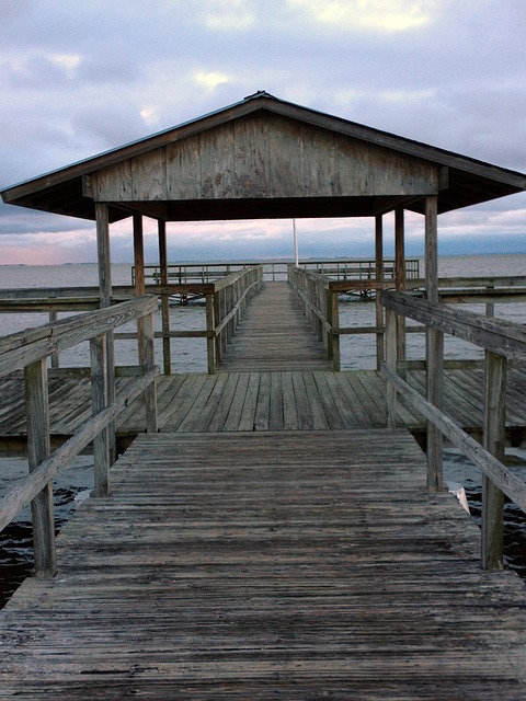Gallery image 1