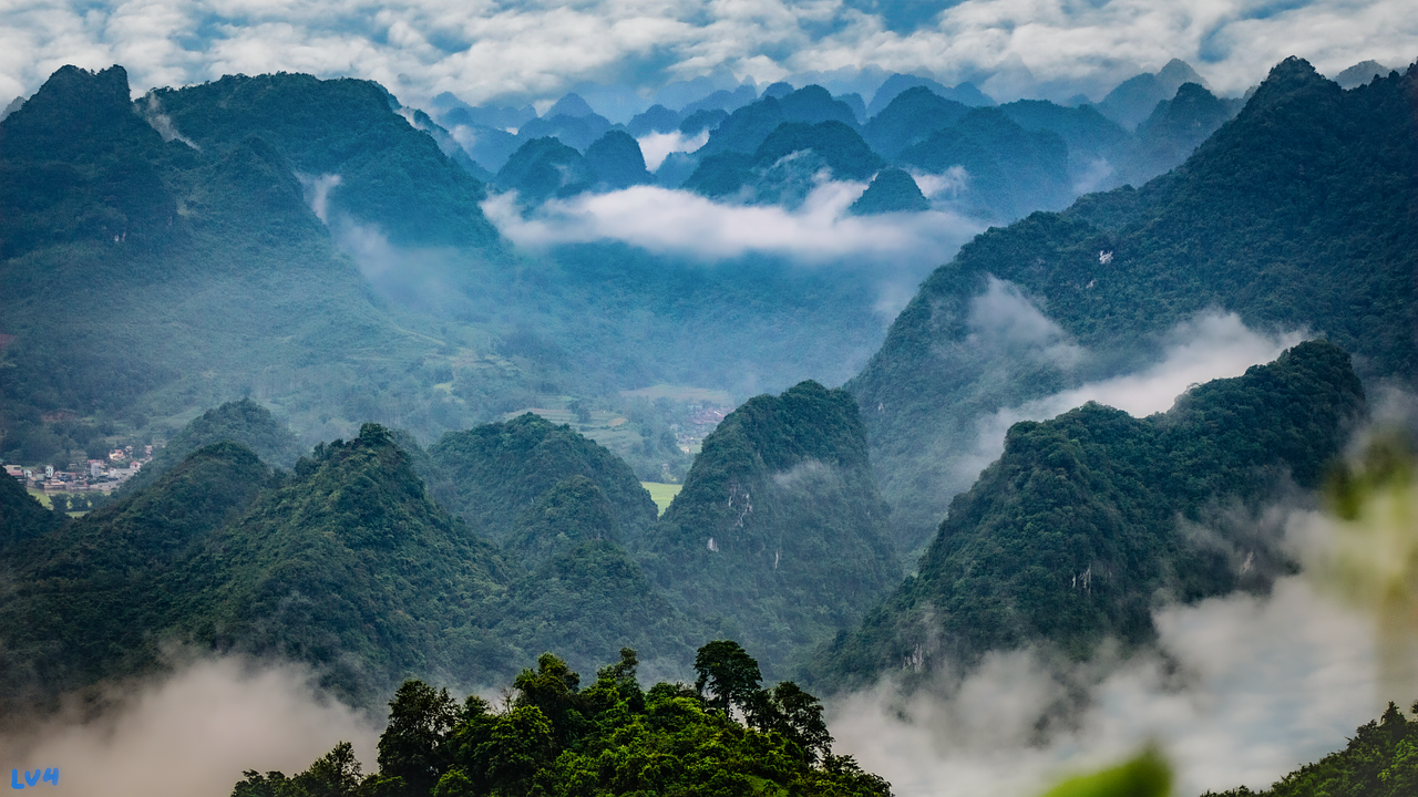 forest, mountain, scenery, fog, cloud, aerial view