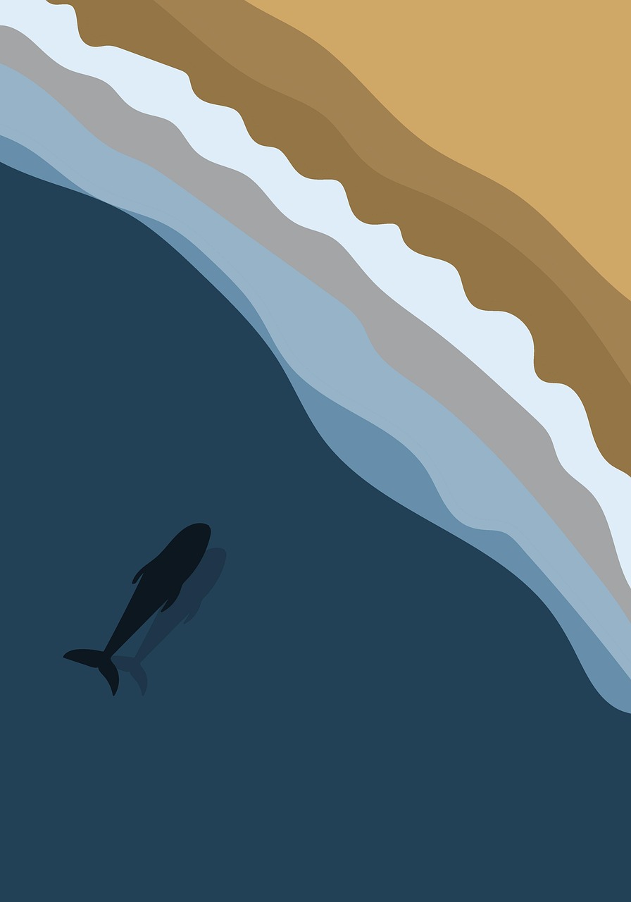 sea, water, ocean, fish, shark, whale, drawing, background, design, coast, lines, beach